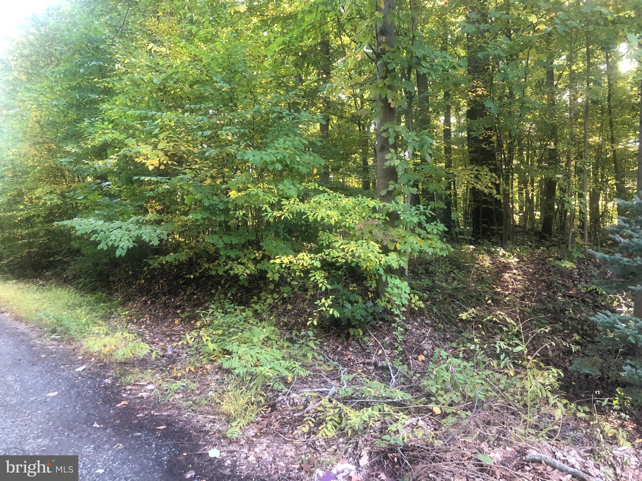 Barbara Alburtis, PA 18011 - Photo 6 of 7