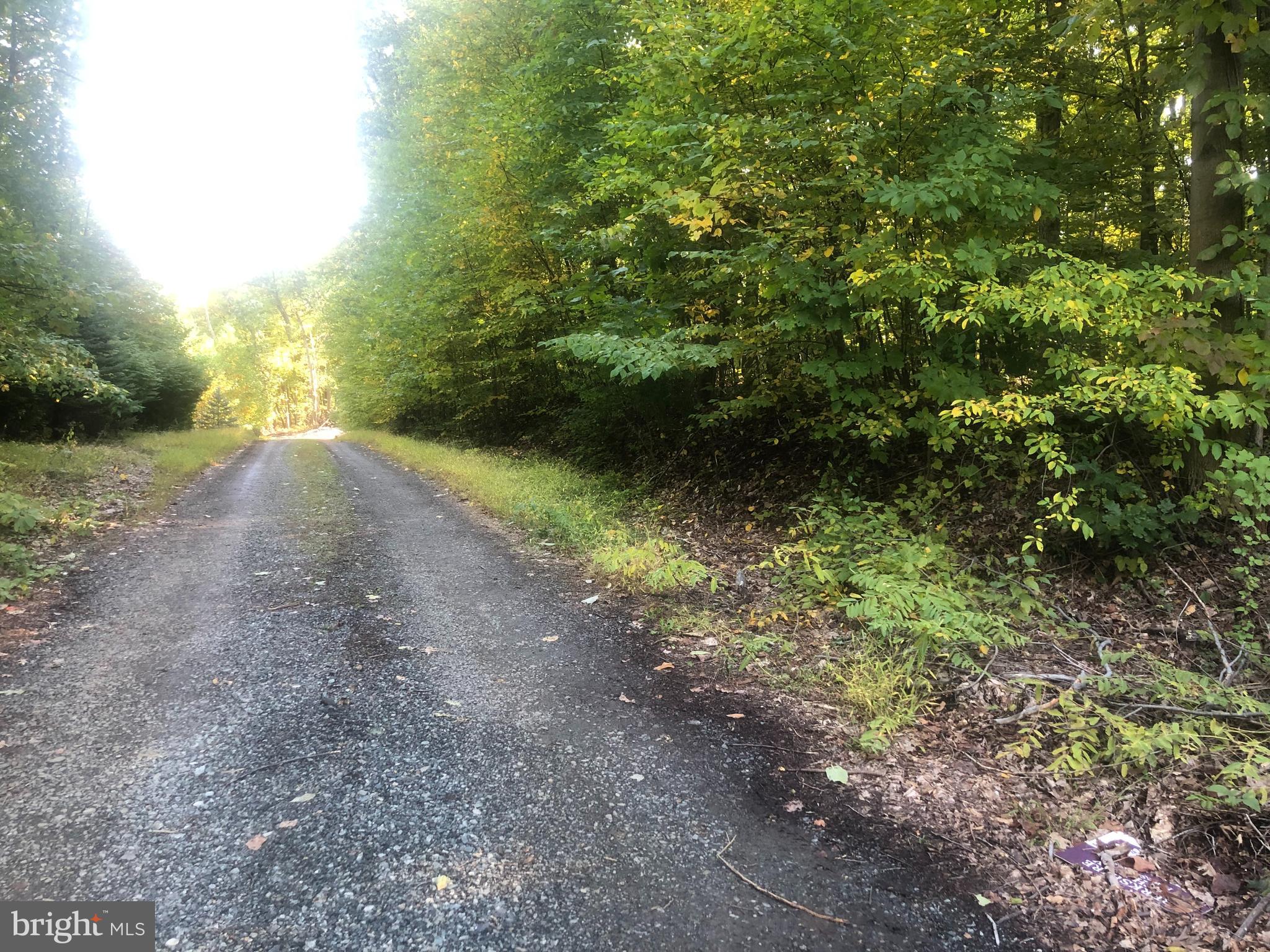 Barbara Alburtis, PA 18011 - Photo 7 of 7