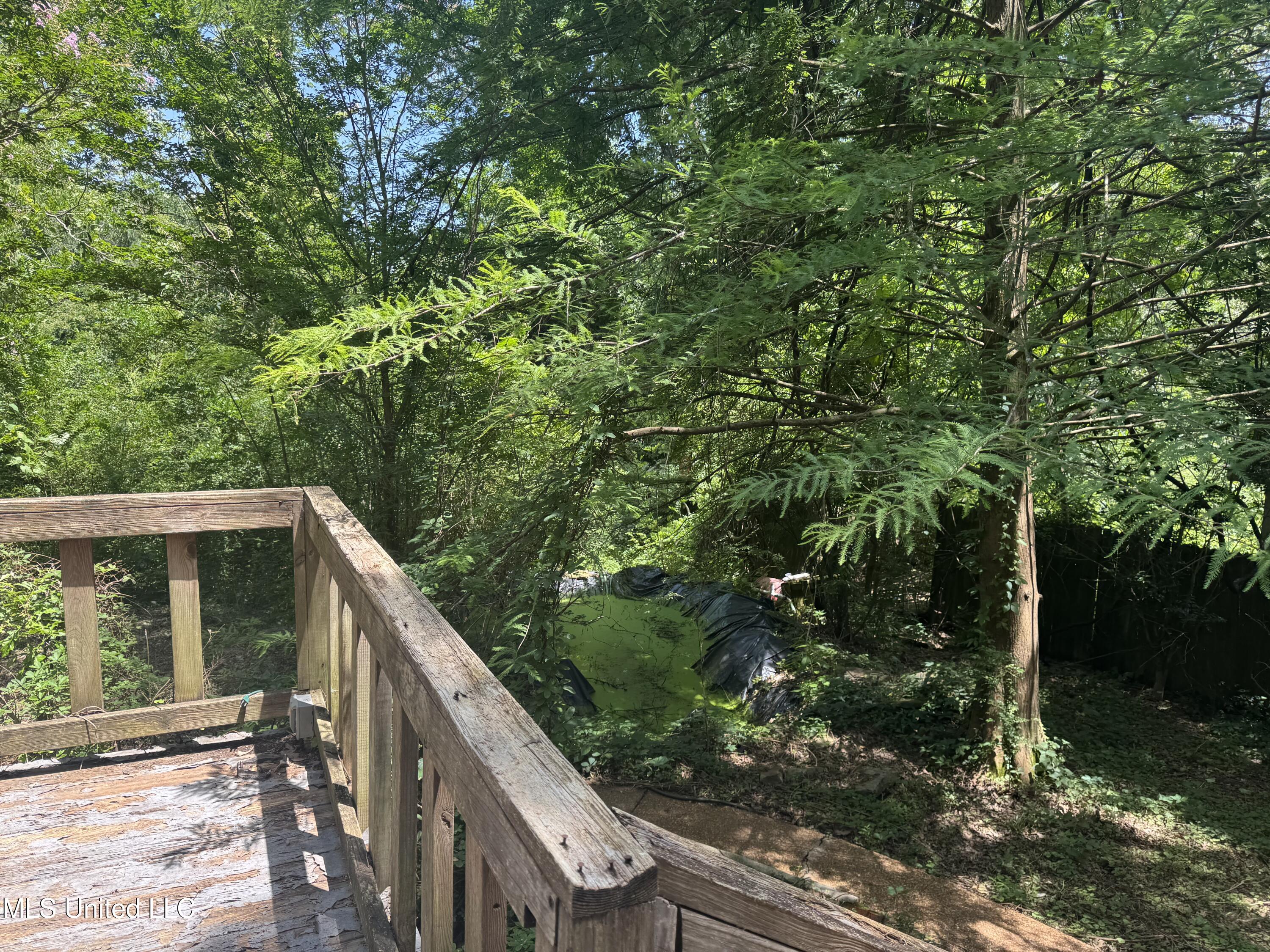 407 North Thunderbird Road Hernando, MS 38632 - Photo 24 of 35 IMG_0322