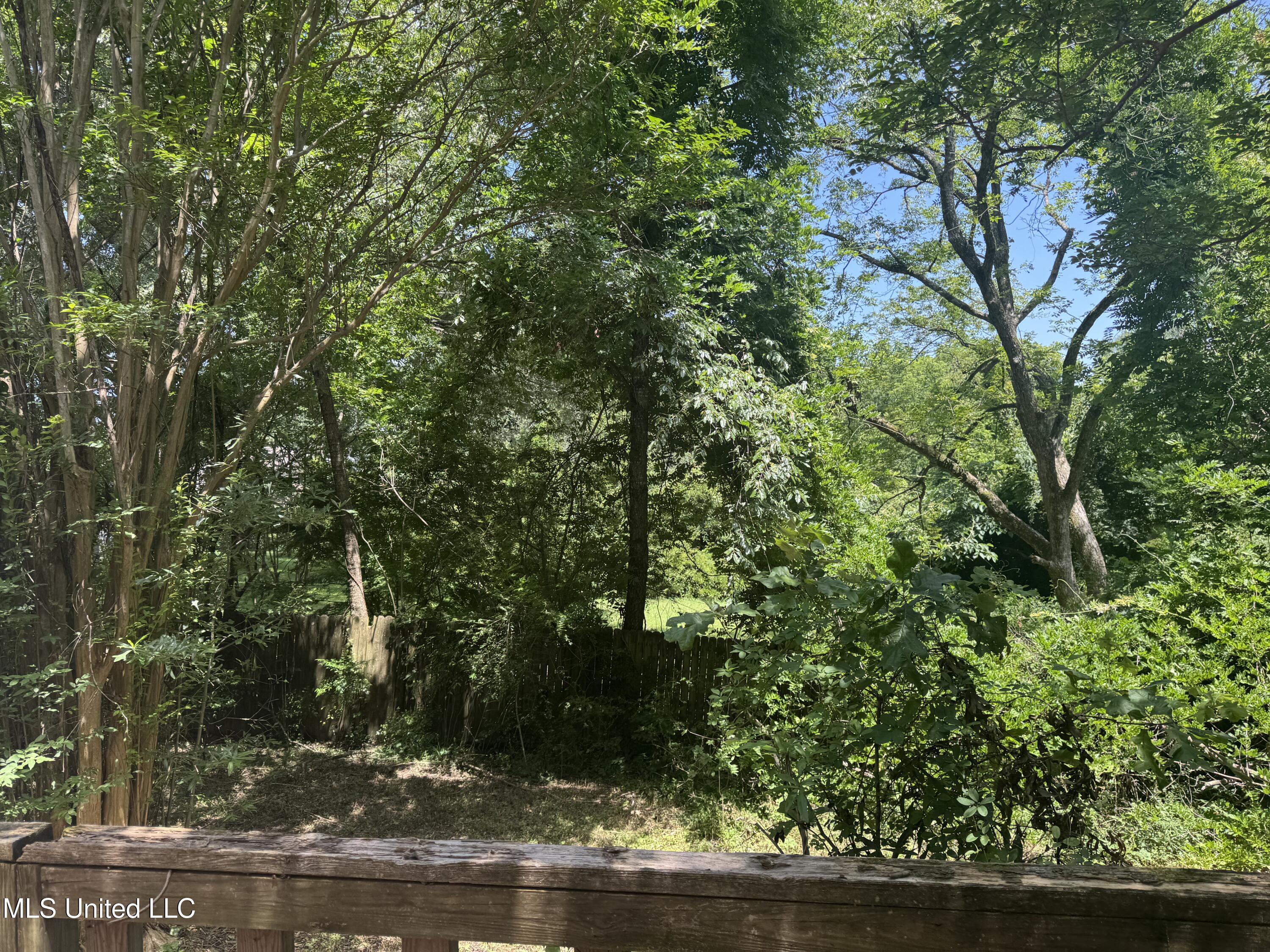 407 North Thunderbird Road Hernando, MS 38632 - Photo 35 of 35 IMG_0319