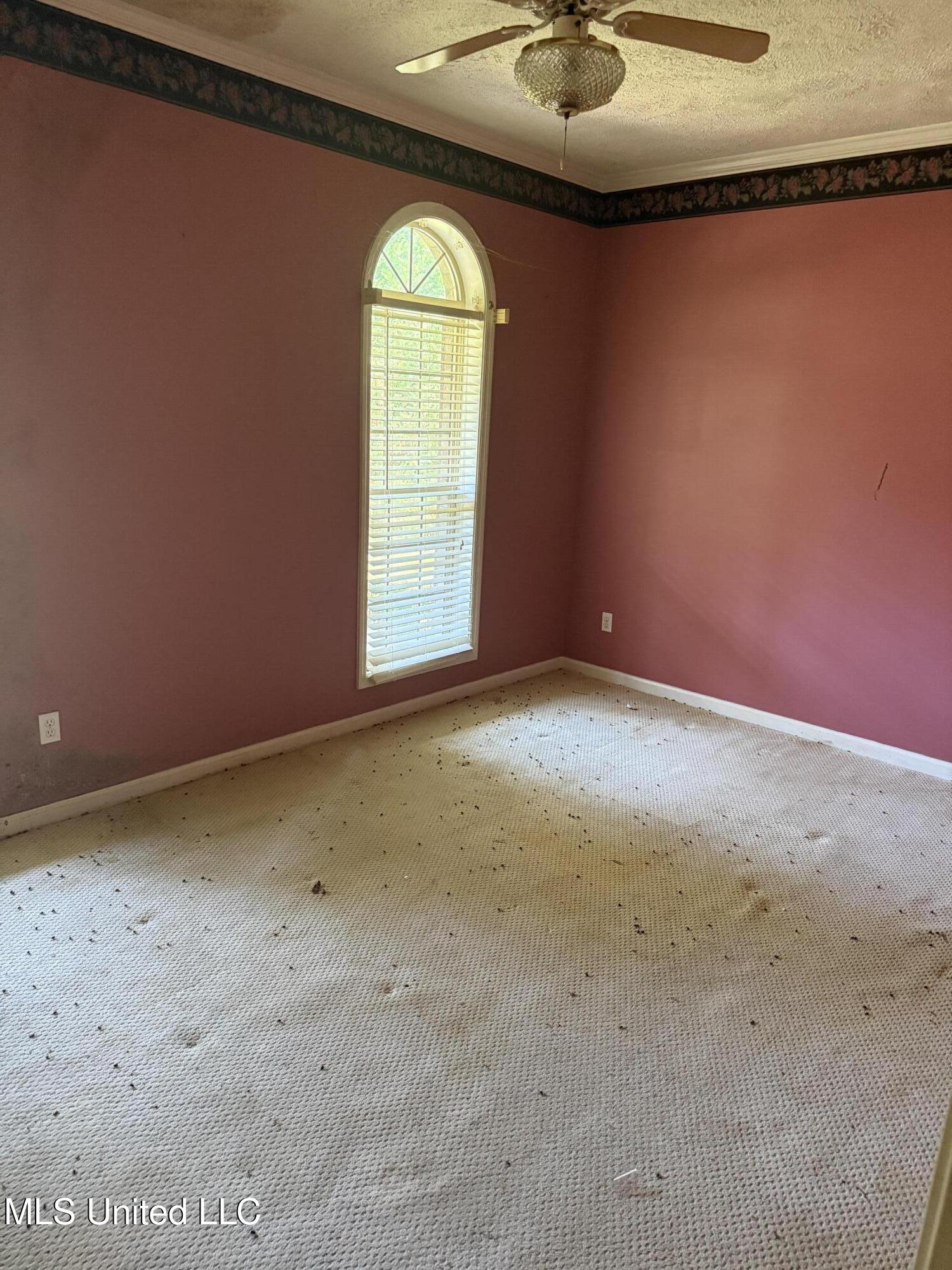 407 North Thunderbird Road Hernando, MS 38632 - Photo 8 of 35 IMG_1665