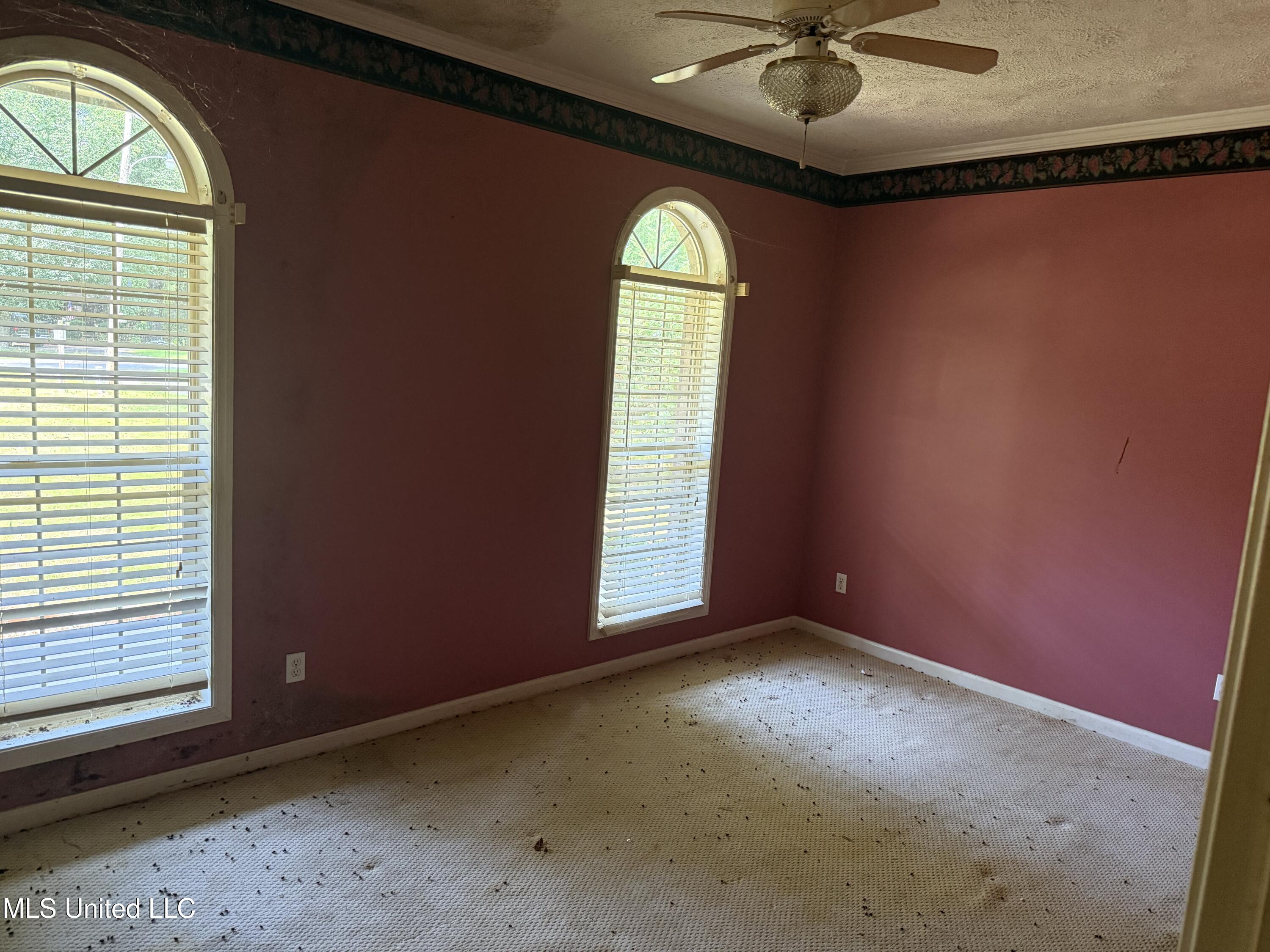 407 North Thunderbird Road Hernando, MS 38632 - Photo 10 of 35 IMG_1666