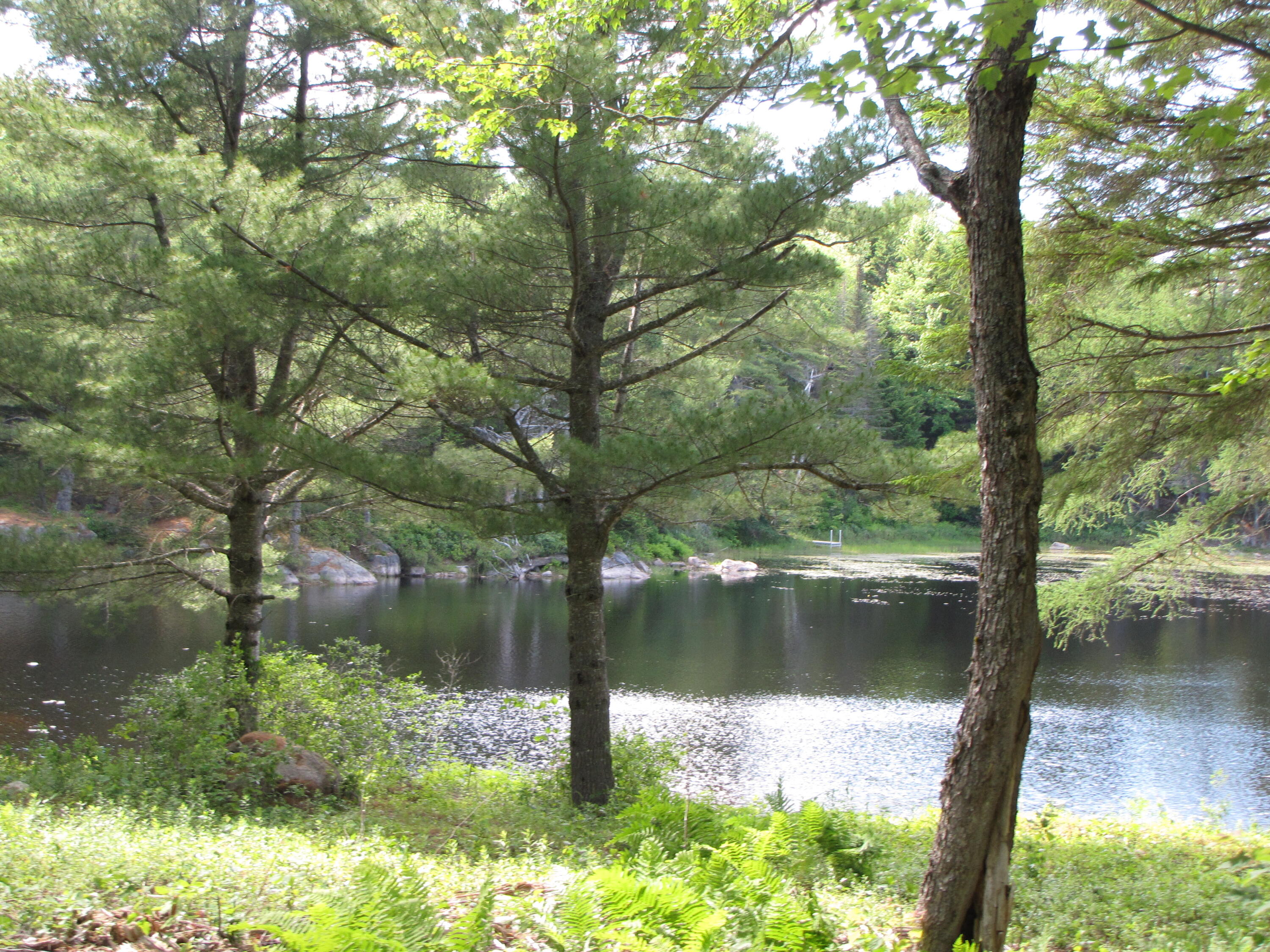 33 Marks Lake Road Machias, ME 04654 - Photo 21 of 37 11