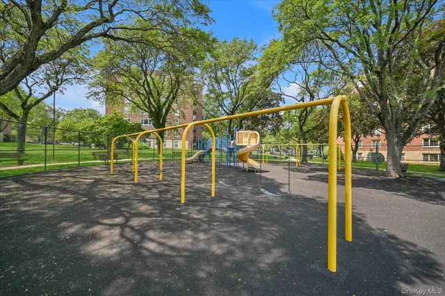 a view of a yard with plants and large tree