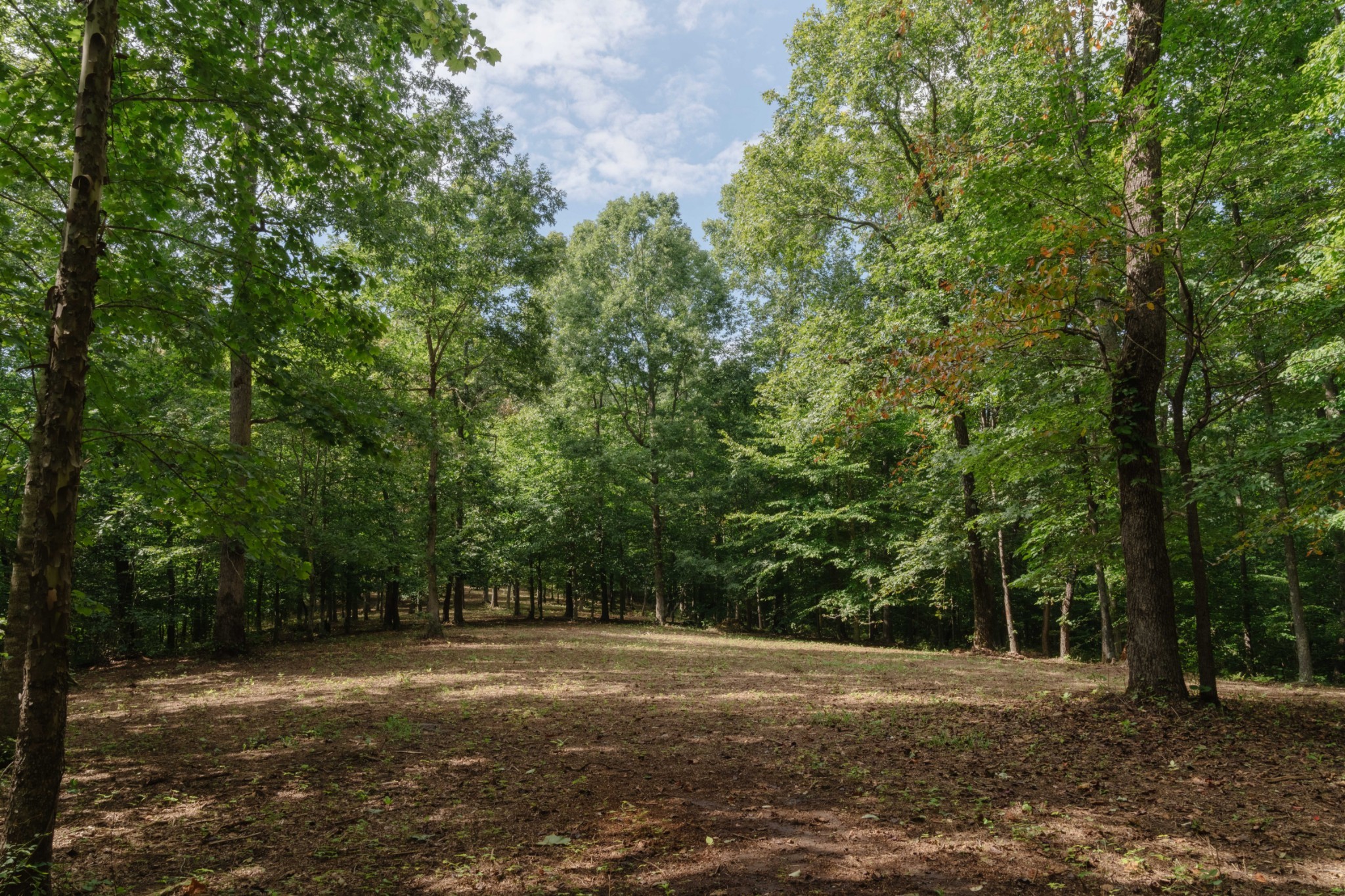 15 Green Chapel Road Franklin, TN 37064 - Photo 14 of 44 Gallery Image 14