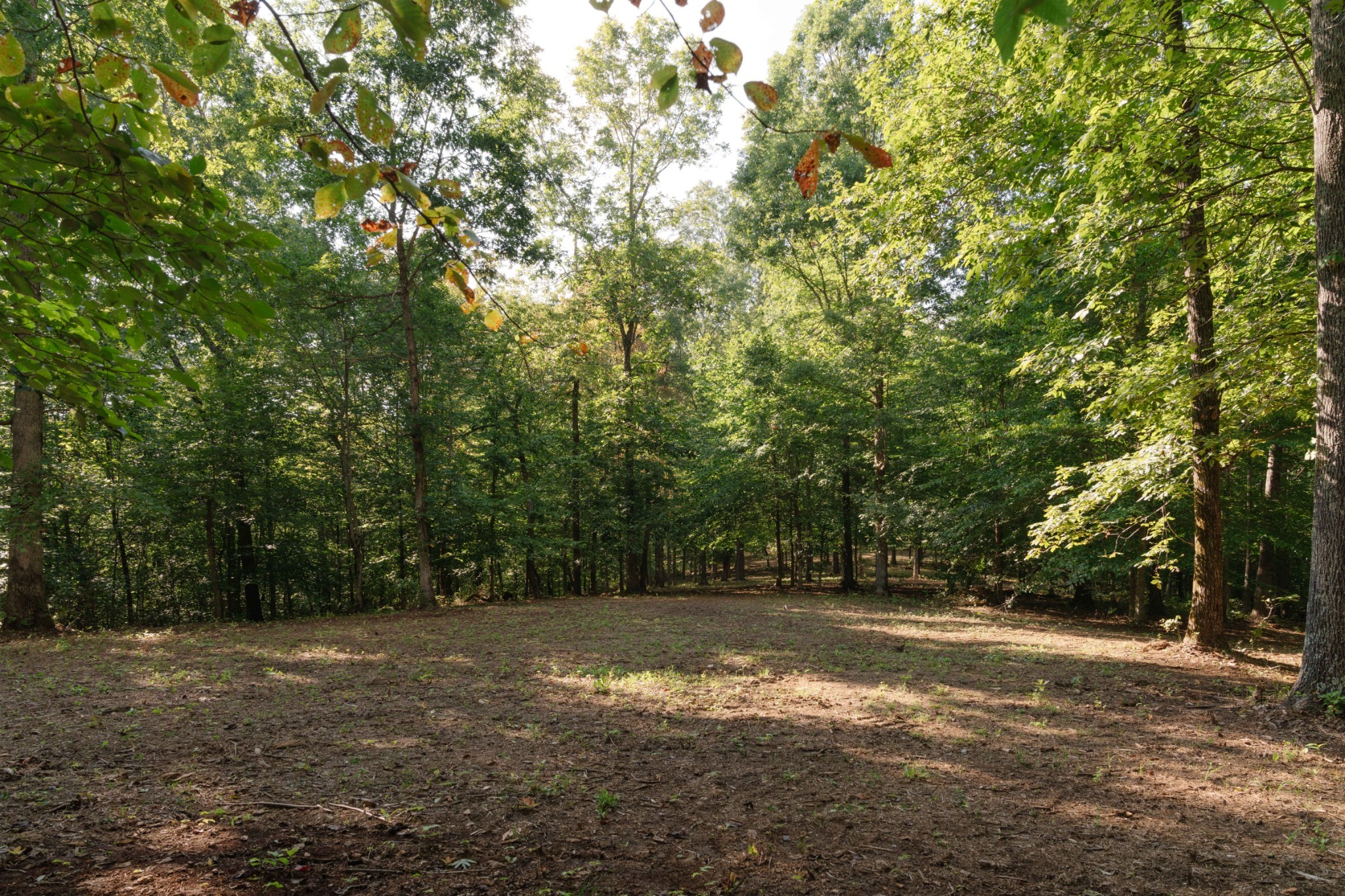 15 Green Chapel Road Franklin, TN 37064 - Photo 26 of 44 Gallery Image 26