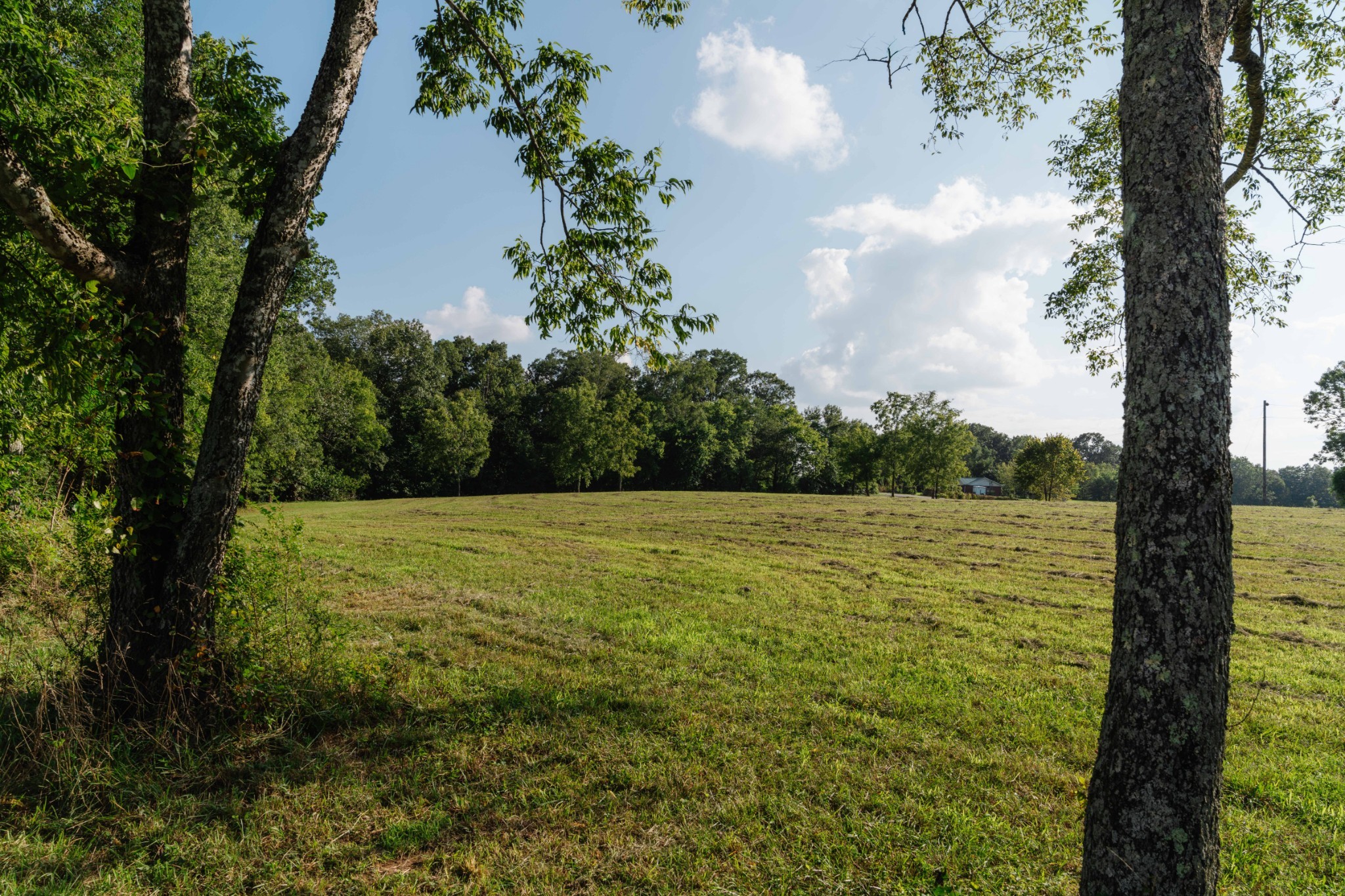 15 Green Chapel Road Franklin, TN 37064 - Photo 35 of 44 Gallery Image 35