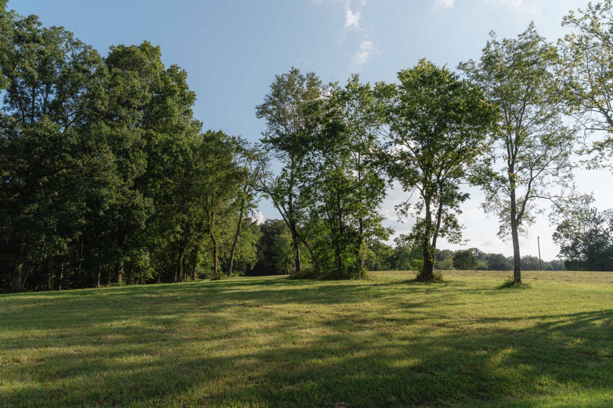 15 Green Chapel Road Franklin, TN 37064 - Photo 36 of 44 Gallery Image 36