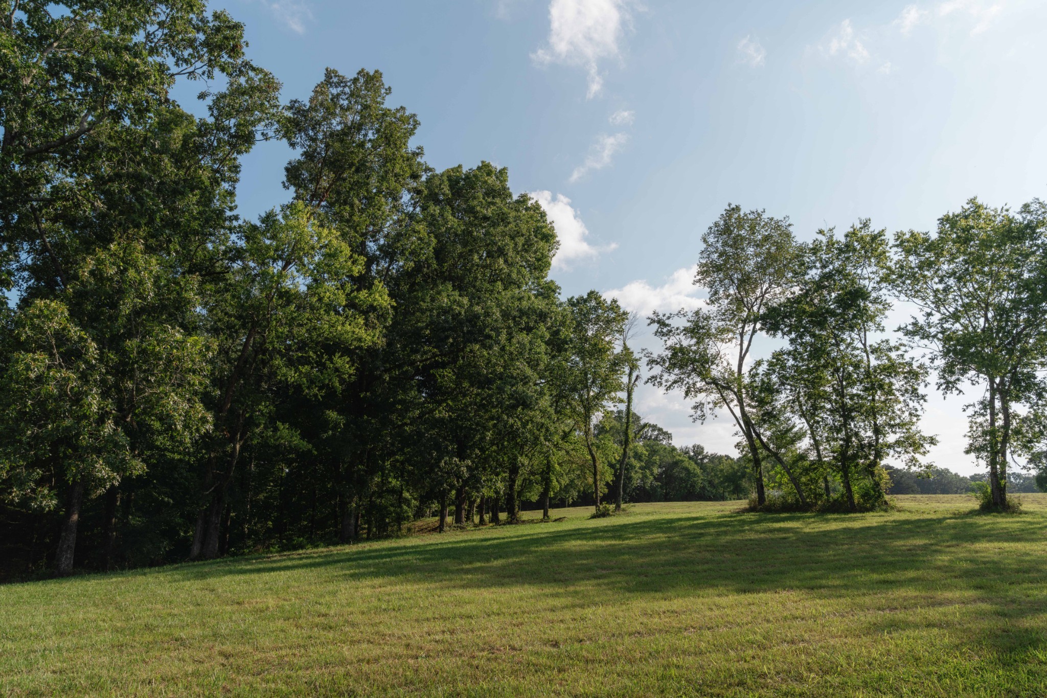 15 Green Chapel Road Franklin, TN 37064 - Photo 8 of 44 Gallery Image 8
