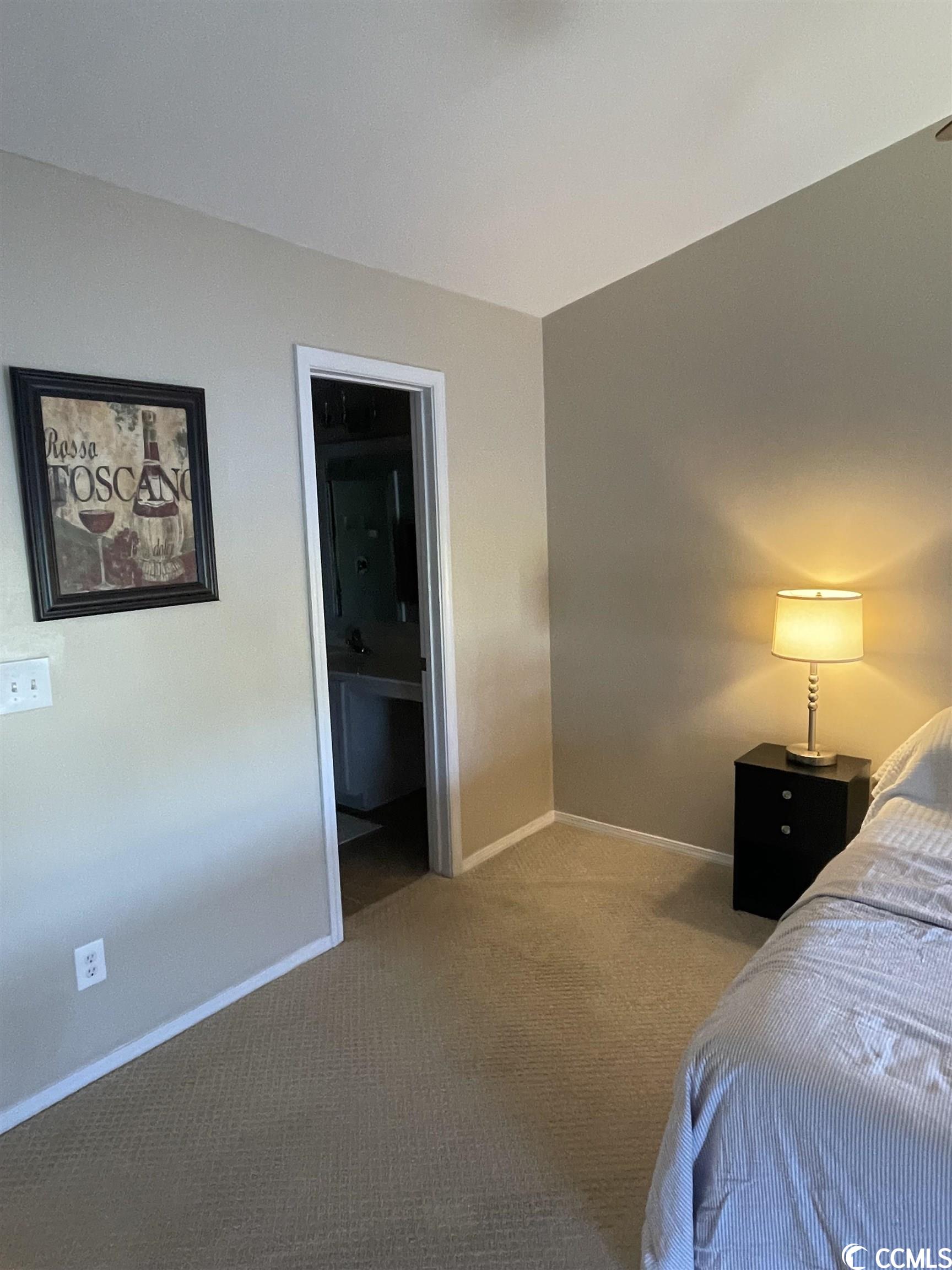 348 Kiskadee Loop, Unit D Conway, SC 29526 - Photo 21 of 39 Gallery Image 21