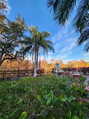 a view of a yard with palm trees