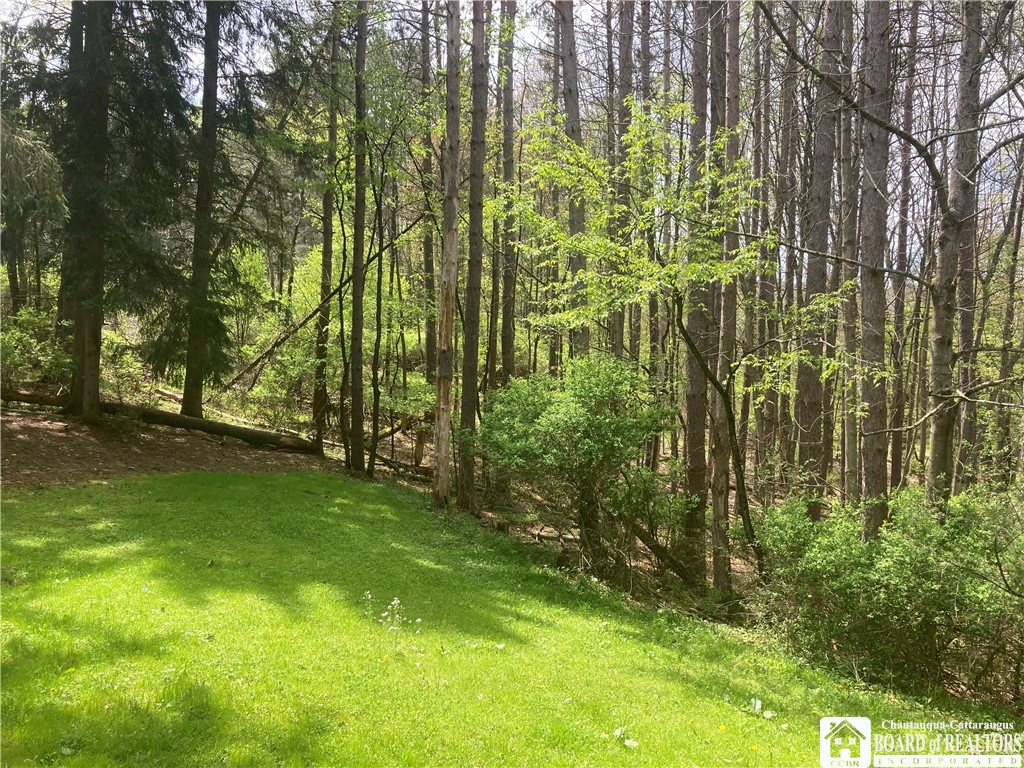 2031 Wolf Creek Road Clarksville, NY 14727 - Photo 28 of 33