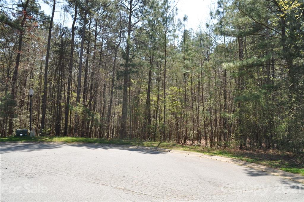 9053 Garrison Road, Unit L134 Sherrills Ford, NC 28673 - Photo 3 of 21 Gallery Image 3