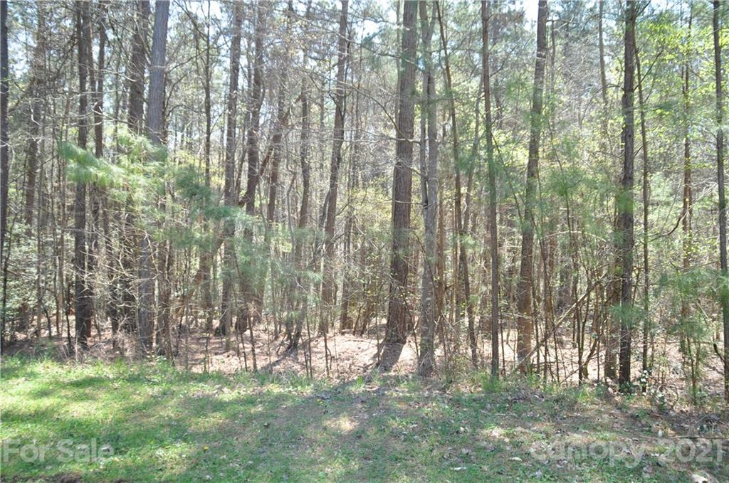 9053 Garrison Road, Unit L134 Sherrills Ford, NC 28673 - Photo 4 of 21 Gallery Image 4