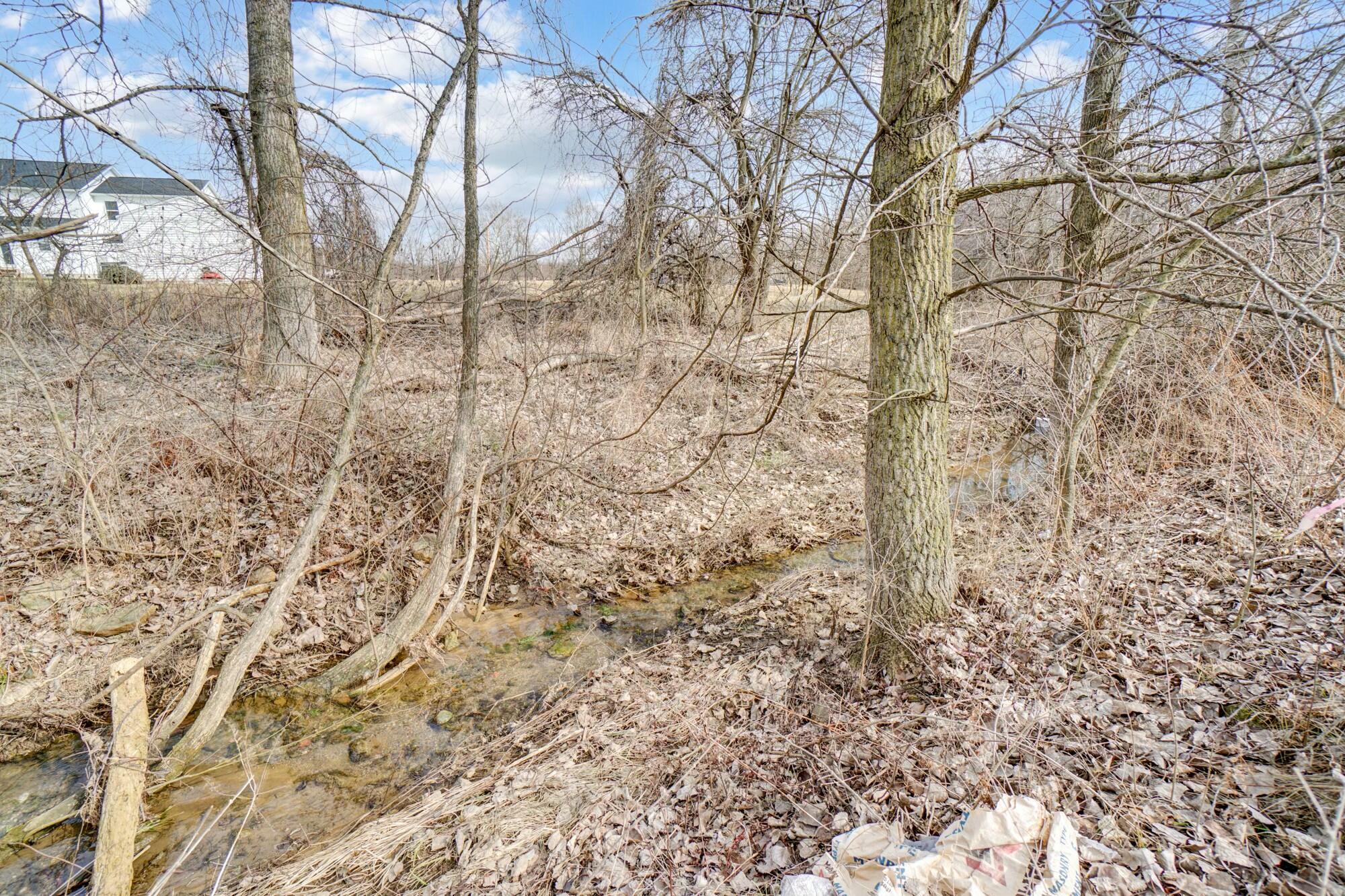 0 Mink Street Road Ostrander, OH 43061 - Photo 6 of 11 6