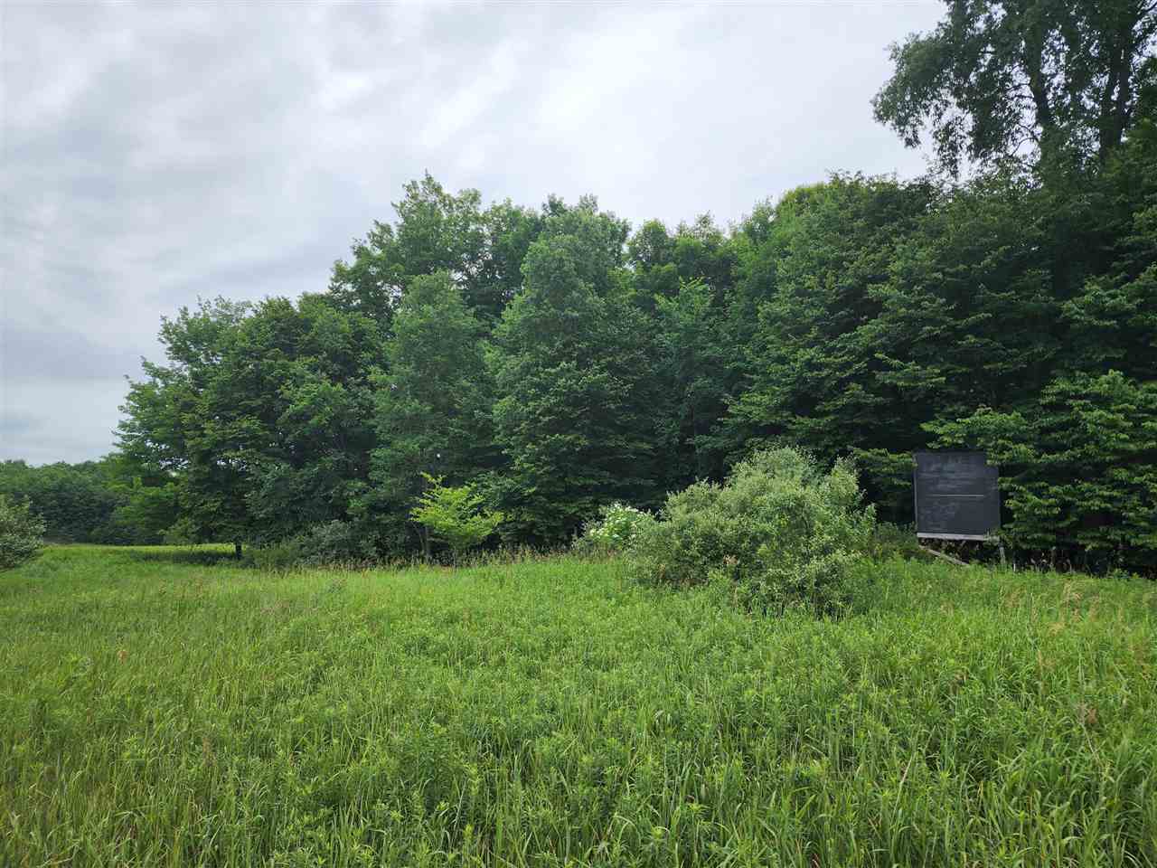 1 1 1 Mile Road White Cloud, MI 49349 - Photo 7 of 12