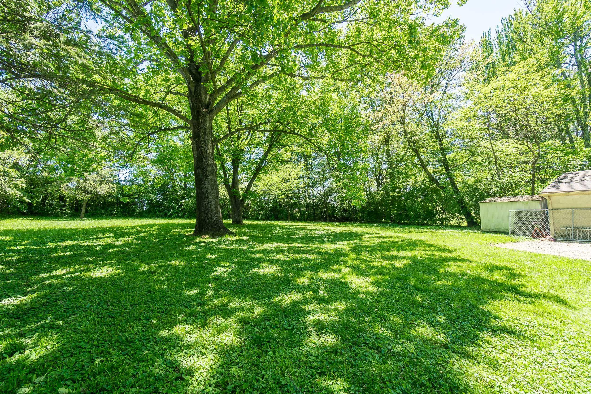 Large & Private Backyard