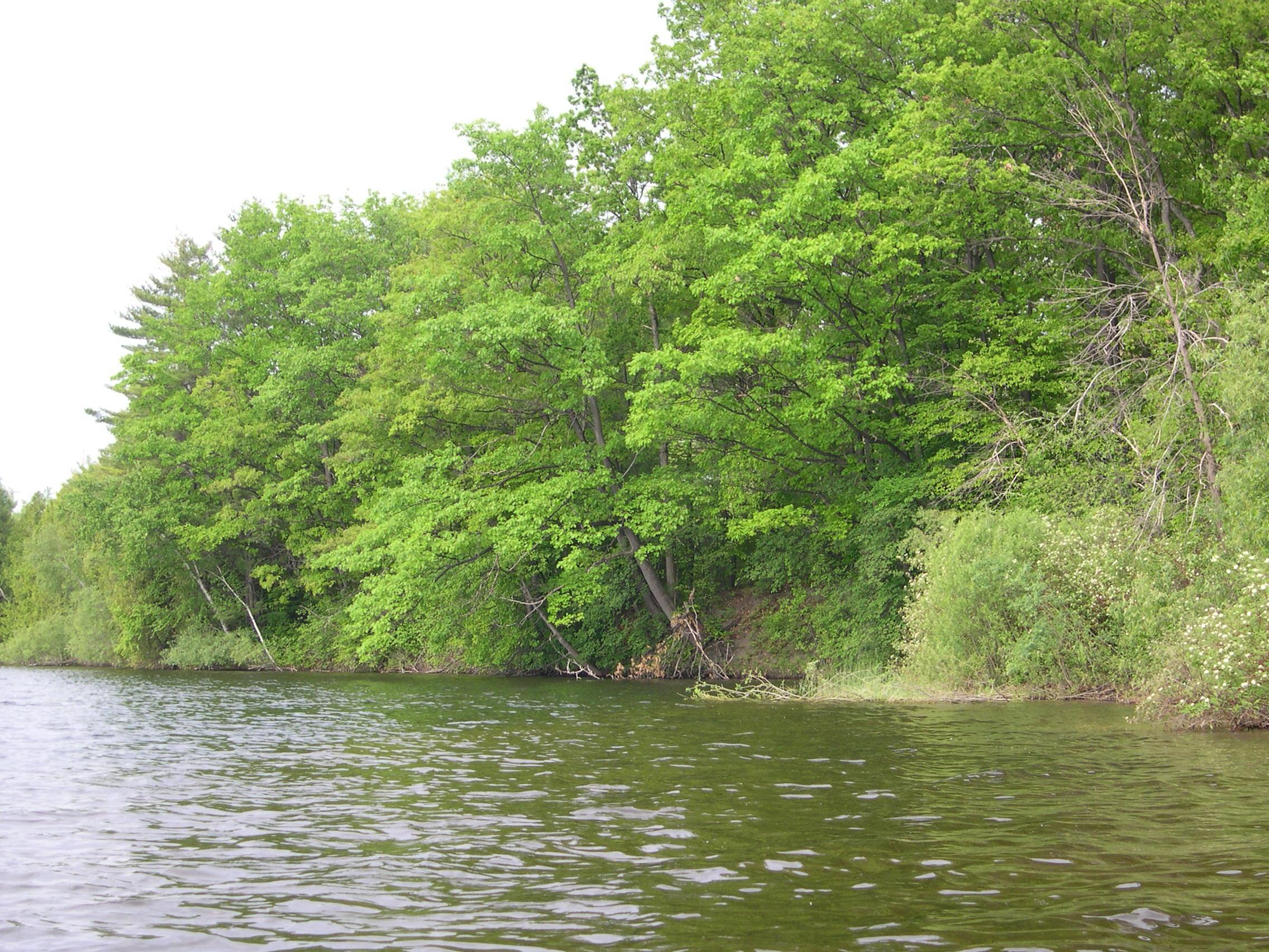 1541 Edgewater Ridge Traverse City, MI 49684 - Photo 13 of 21 1914186-12.JPG