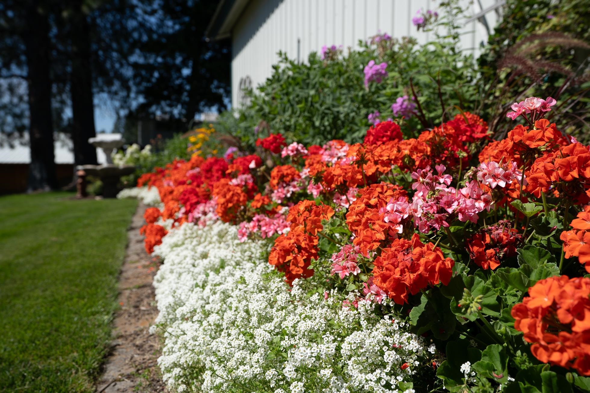 591 Greggs Road Newport, WA 99156 - Photo 40 of 50 Gallery Image 40