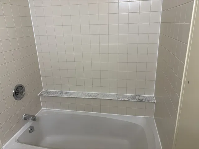 a bathroom with a bathtub