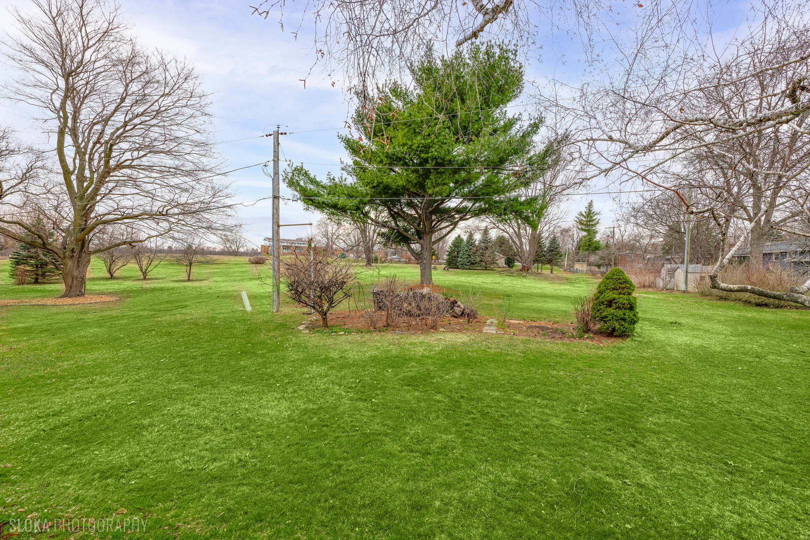 508 Crest Drive Cary, IL 60013 - Photo 32 of 35 a view of a park with large trees