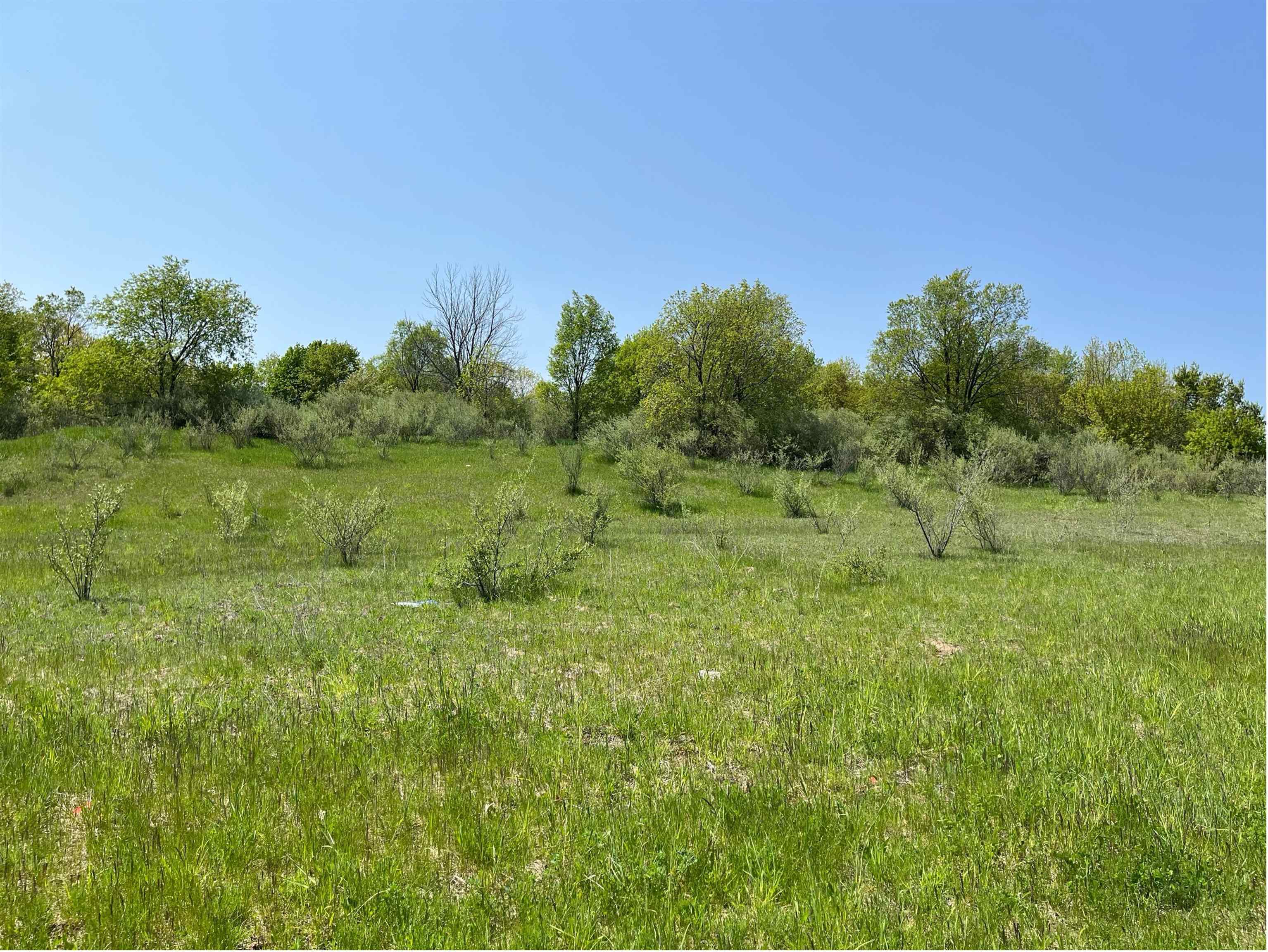 Lot 45 Florey's Ranch Road, Unit LOT: 45 Grawn, MI 49637 - Photo 7 of 11