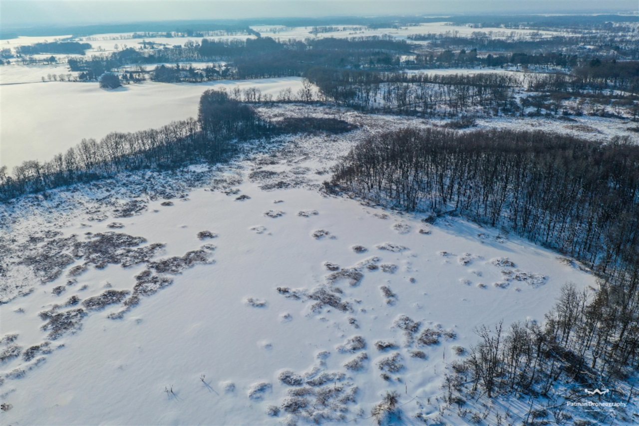 2 1/2 1/2 Mile Road Athens, MI 49011 - Photo 7 of 15