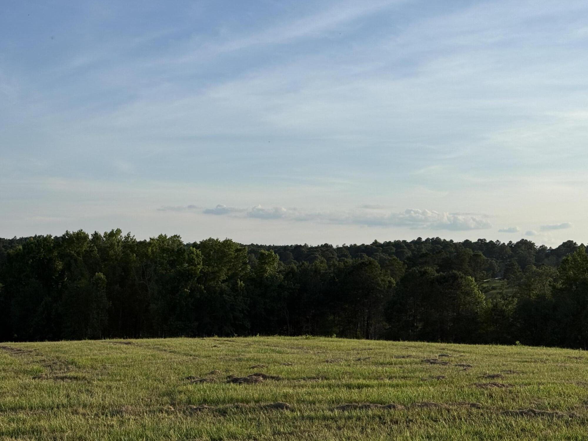 Lot 12 Reeves Street Aiken, SC 29805 - Photo 11 of 22