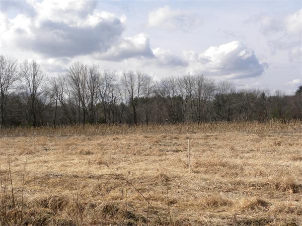 Lot 2 Galloway Road Chelmsford, MA 01824 - Photo 4 of 5