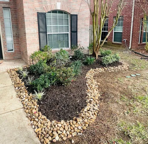 a view of a backyard with plants