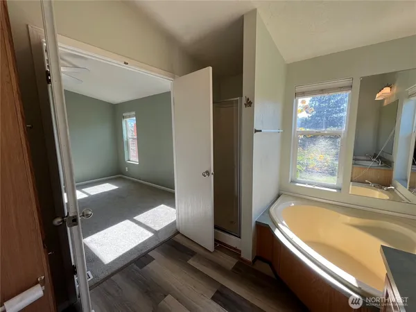 a view of a street with large trees