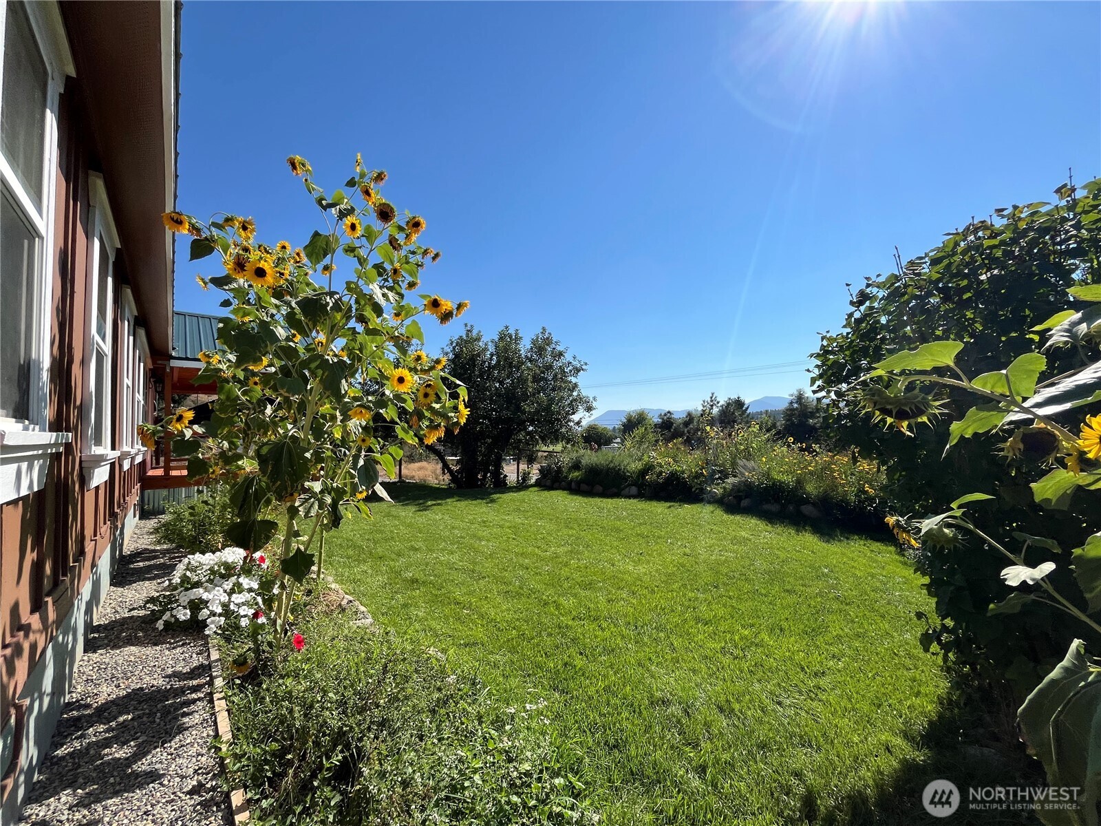 920 Castle Avenue Winthrop, WA 98862 - Photo 5 of 40 a view of a garden with a tree