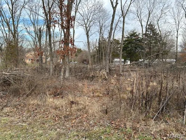 $6,995 | 1 Grand Avenue, Park Hills, MO 63601