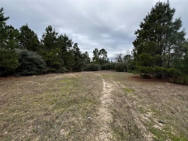 a view of a field with trees in background