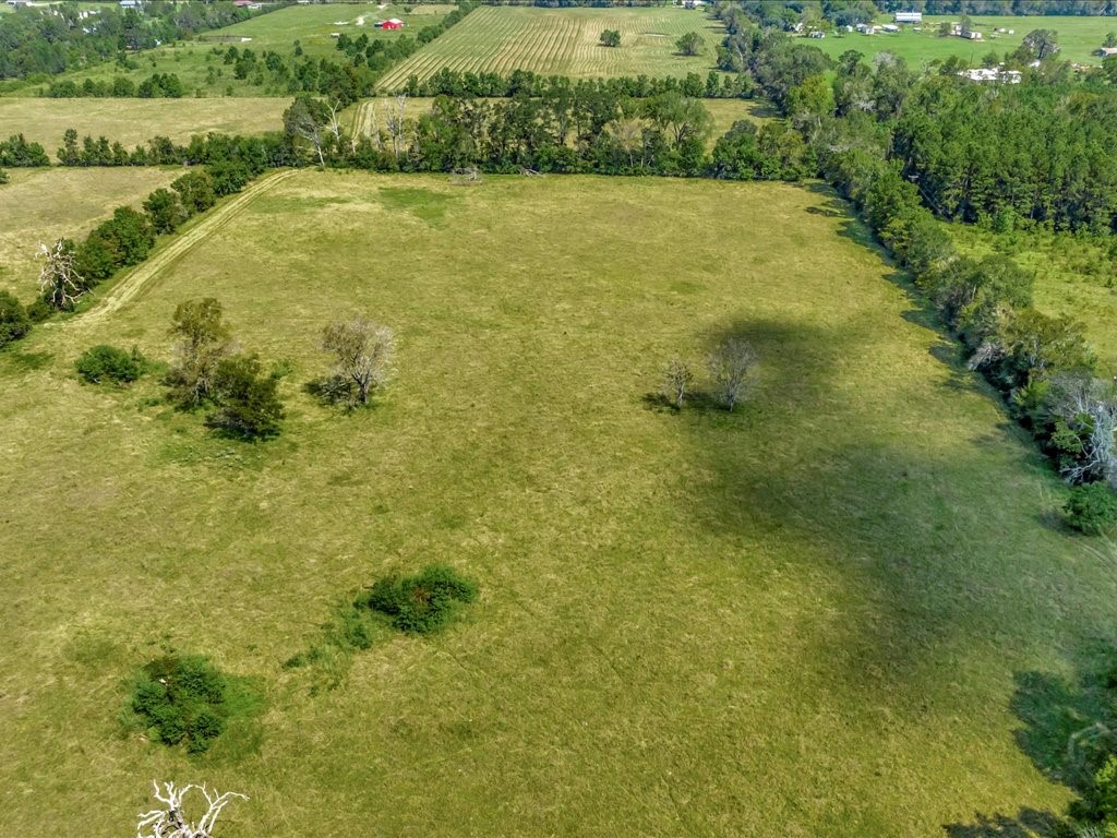 655 Sam Baird Road Lufkin, TX 75901 - Photo 13 of 15 a view of a big yard with green space