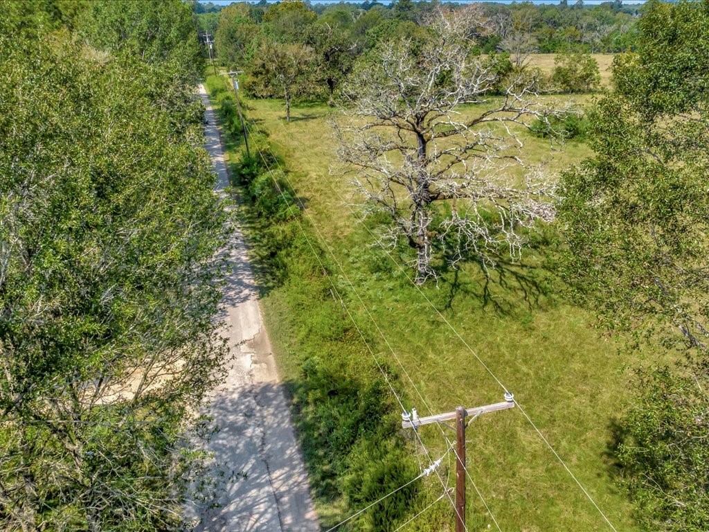 655 Sam Baird Road Lufkin, TX 75901 - Photo 2 of 15 a view of a yard with plants and wooden fence