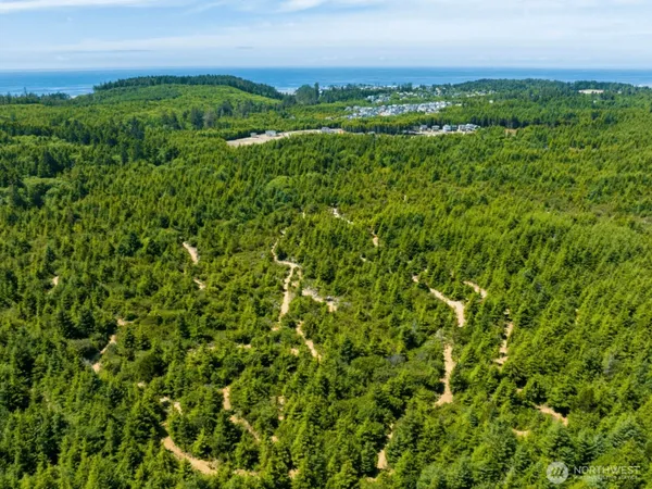 $2,325,000 | 210 Front Street, Pacific Beach, WA 98571