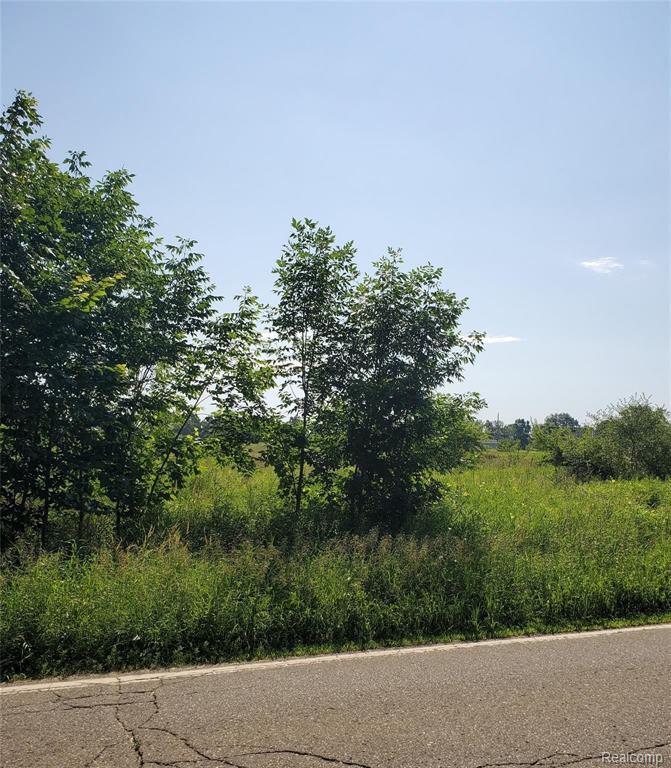 7 Byron Road Howell, MI 48855 - Photo 11 of 12