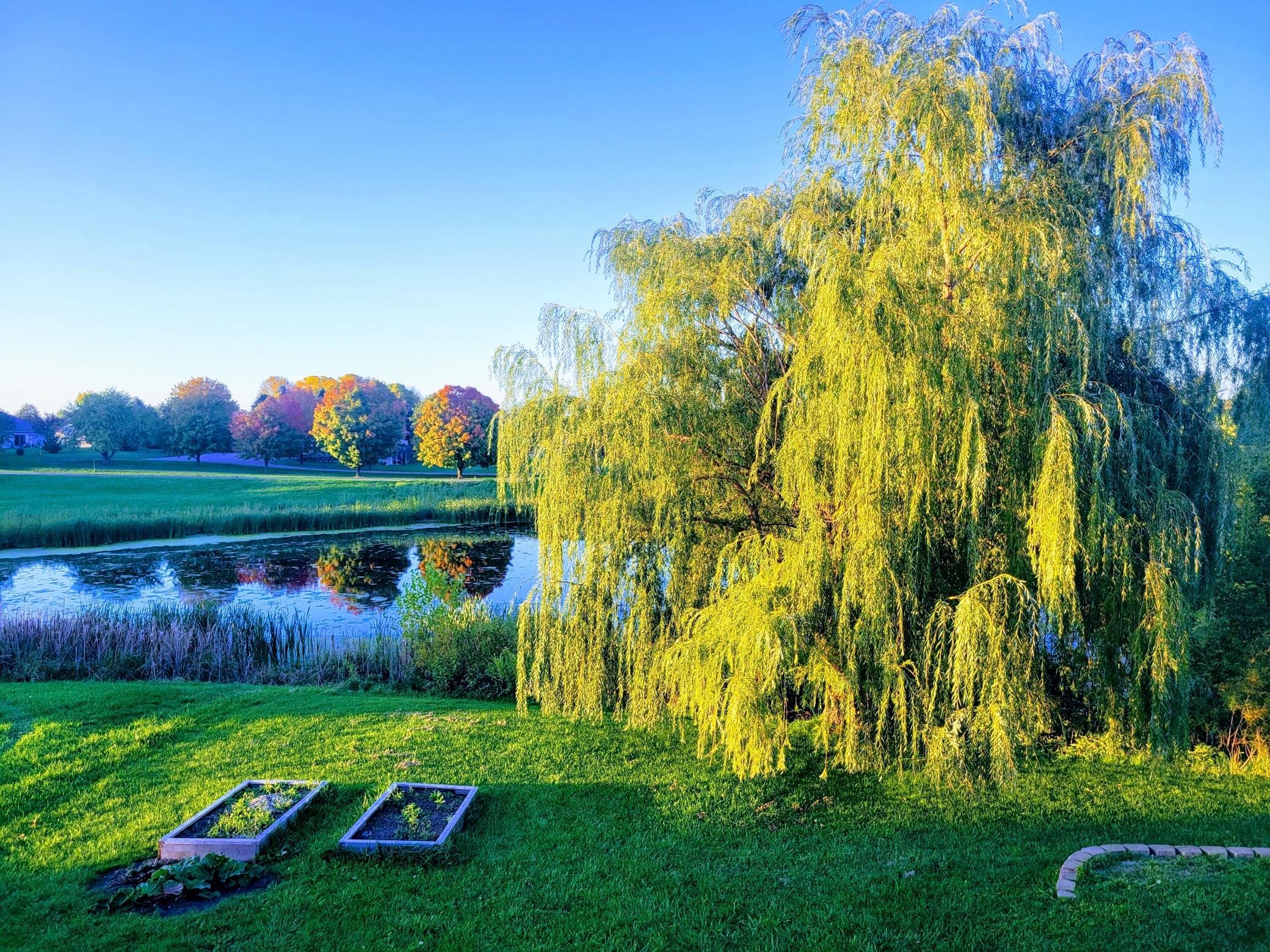 830 6th Street Northwest Maple Lake, MN 55358 - Photo 46 of 47