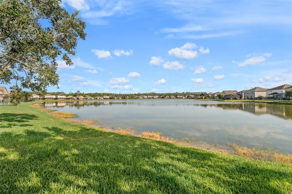 1929 Cove Point Road Port Orange, FL 32128 - Photo 37 of 45 a view of a lake with houses in the back