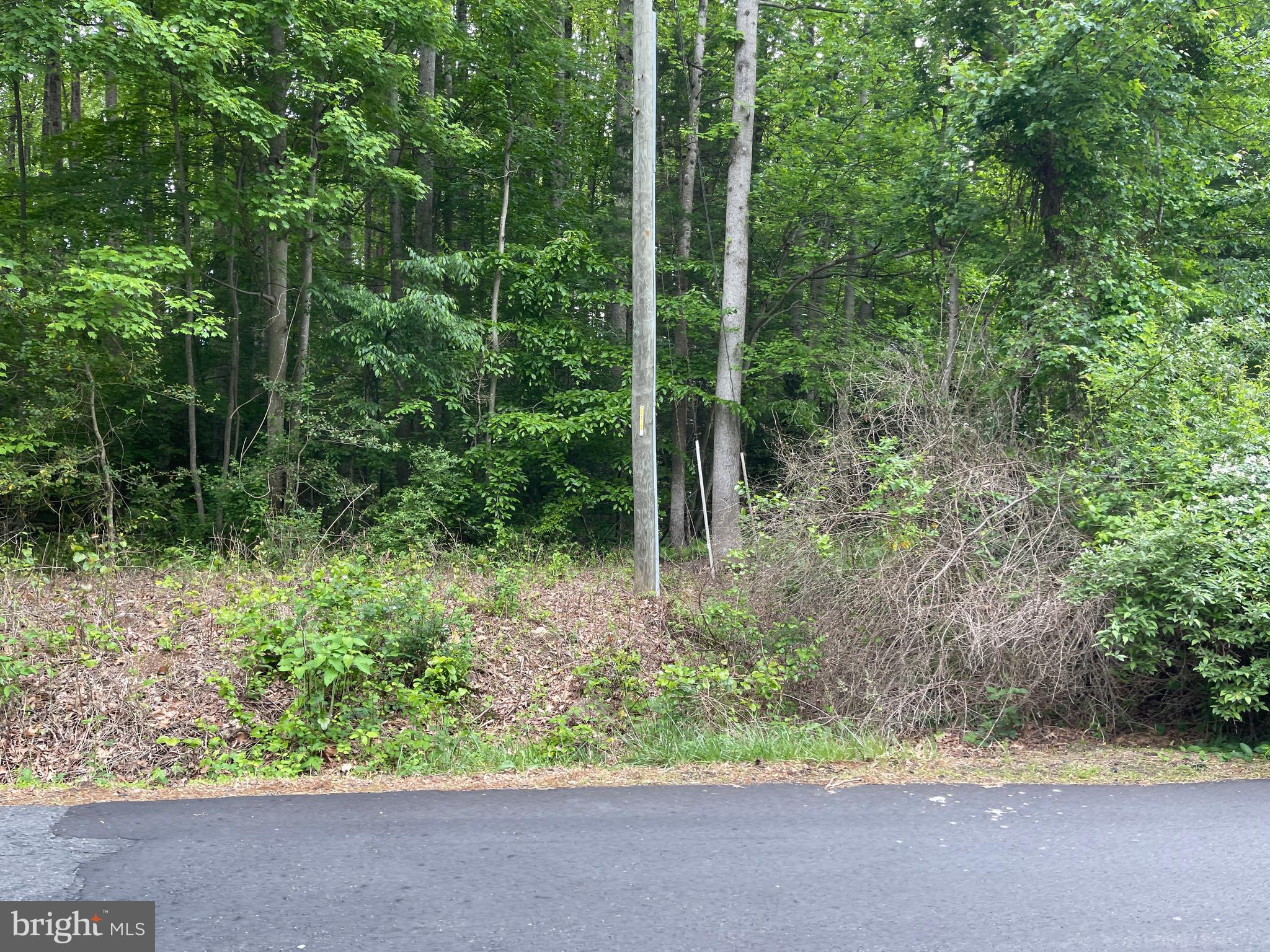 23360 Monrovia Road Orange, VA 22960 - Photo 2 of 2 a backyard of a house with lots of plants and trees