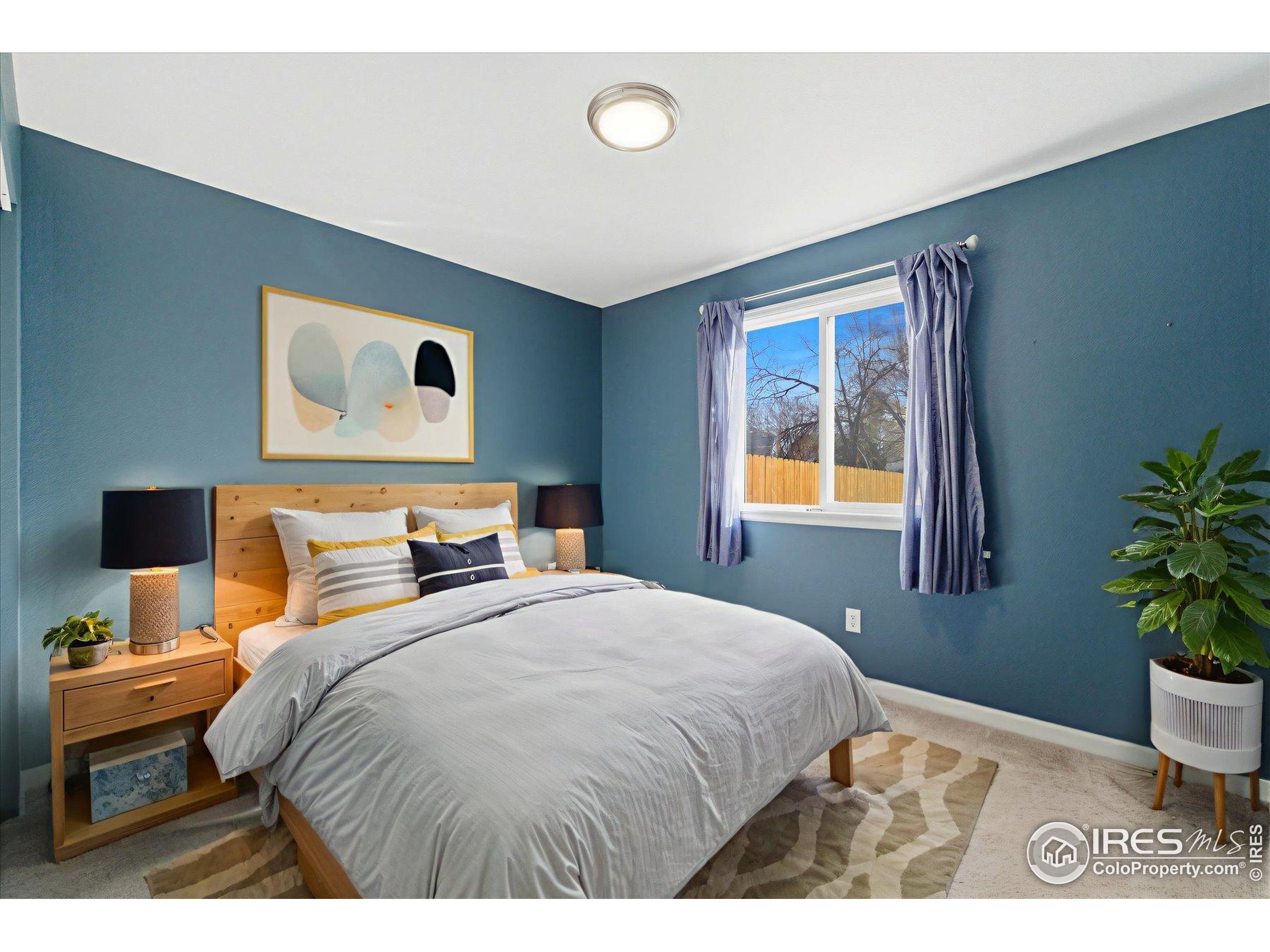 1812 Rice Street Longmont, CO 80501 - Photo 16 of 44 a bedroom with a bed and a potted plant