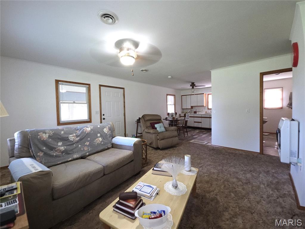 263 Candlewood Road Buffalo, MO 65622 - Photo 4 of 19