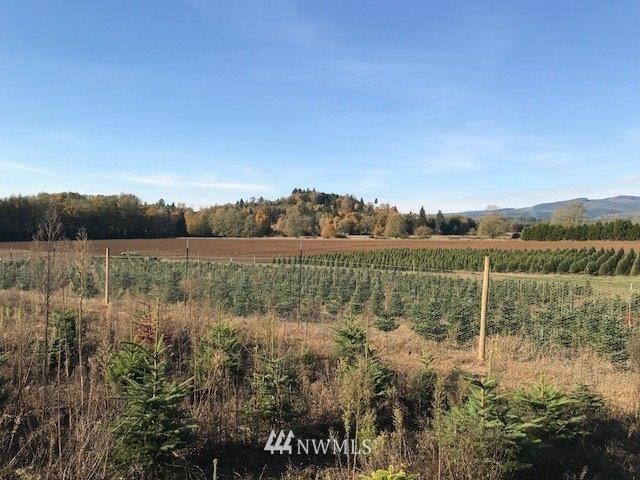 0 Flynn Road Silver Creek, WA 98585 - Photo 1 of 12 Gallery Image 1