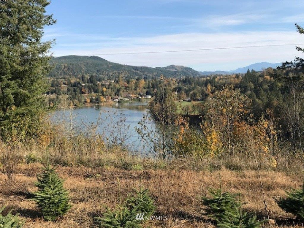0 Flynn Road Silver Creek, WA 98585 - Photo 3 of 12 Gallery Image 3