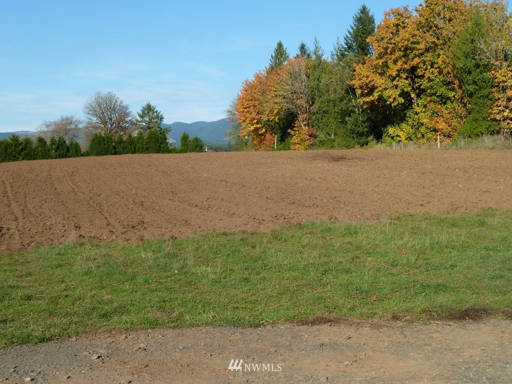0 Flynn Road Silver Creek, WA 98585 - Photo 7 of 12 Gallery Image 7