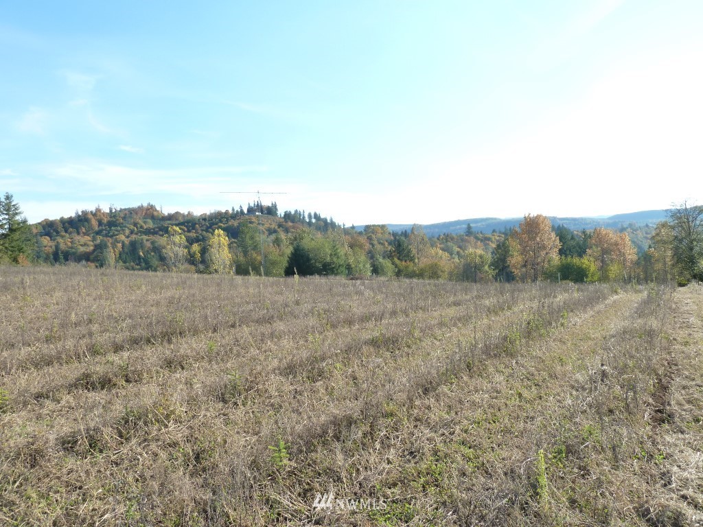 0 Flynn Road Silver Creek, WA 98585 - Photo 8 of 12 Gallery Image 8
