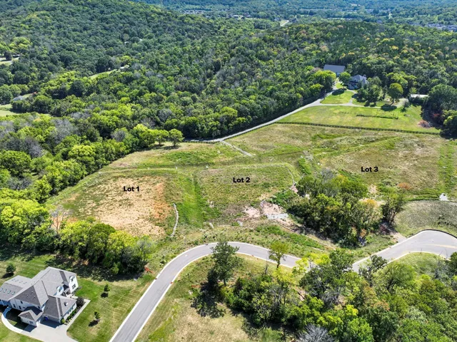 a view of a yard with plants