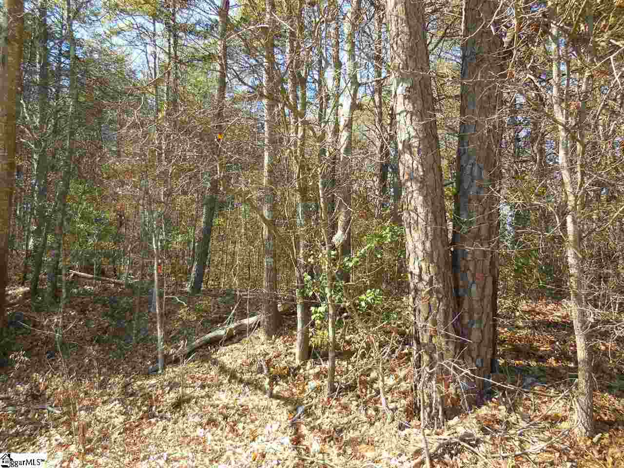 Creek Road Chesnee, SC 29323 - Photo 1 of 1 Gallery Image 1