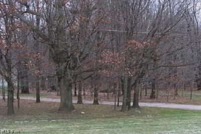 8393 Hartman Road Wadsworth, OH 44281 - Photo 1 of 1 Gallery Image 1